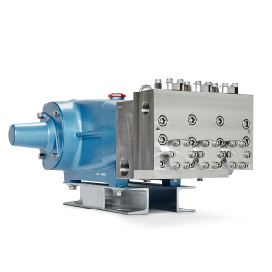 Cat pomp flushed style